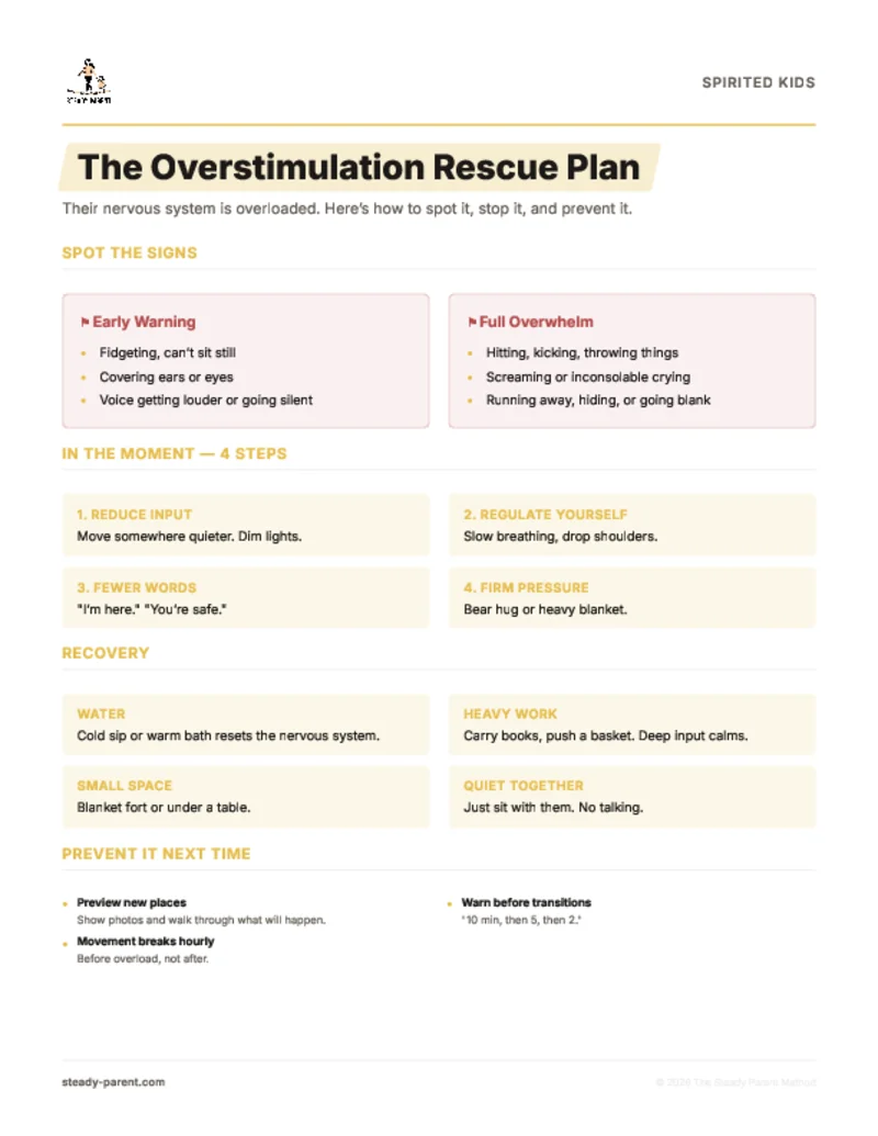 The Overstimulation Rescue Plan