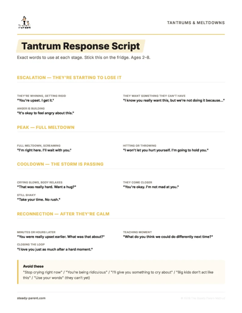 Tantrum Response Script