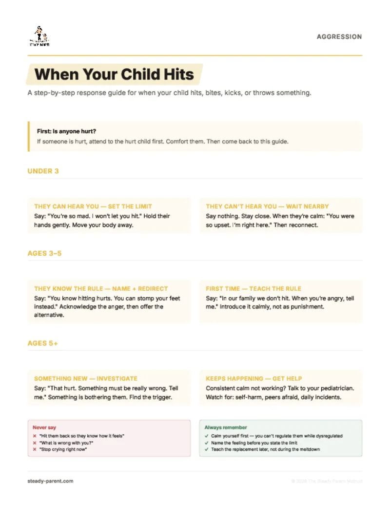 When Your Child Hits Response Flowchart