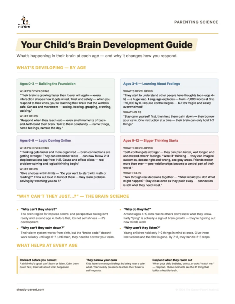 Your Child's Brain Development Guide